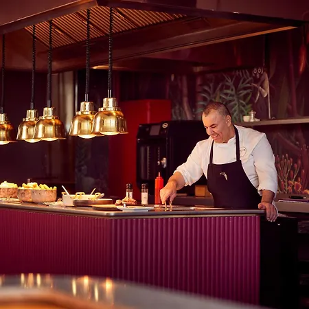 Der Valk Brussels Airport 4* Diegem